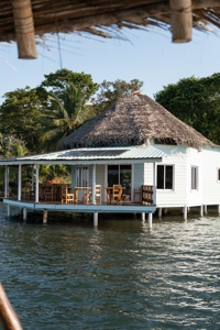 Turn-key hotel, Dolphin Bay, Bocas del Toro - image 6