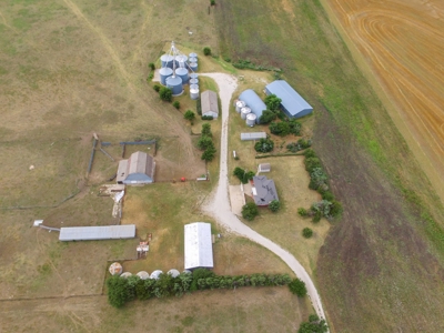 Online Auction Farm, Home, Barns, Grain Storage Ensign KS - image 4