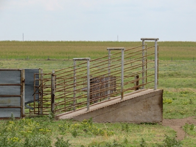 Online Auction Farm, Home, Barns, Grain Storage Ensign KS - image 34