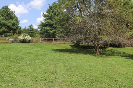 Beautiful Brick Home for Sale in Floyd VA! - image 21