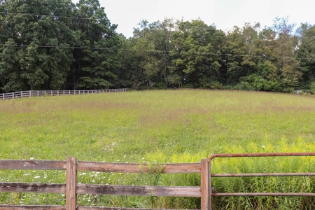 Beautiful Brick Home for Sale in Floyd VA! - image 25