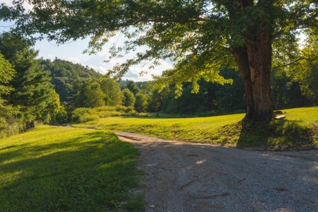 Home with Land for Sale in Riner VA! - image 10