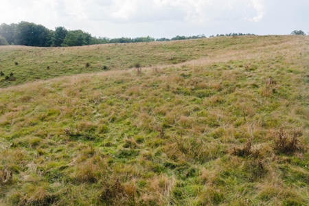 Land for Sale in Riner VA! - image 6
