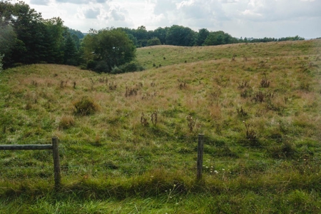 Land for Sale in Riner VA! - image 11