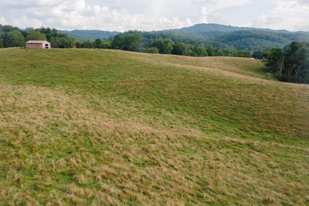 Land for Sale in Riner VA! - image 2