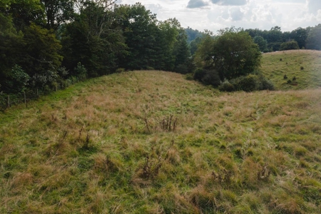 Land for Sale in Riner VA! - image 9