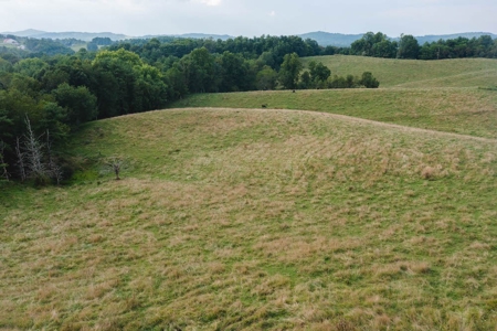 Land for Sale in Riner VA! - image 7