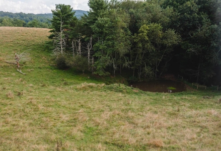 Land for Sale in Riner VA! - image 4