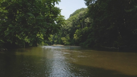Large Land Tract for Sale with River Frontage in Riner VA! - image 9