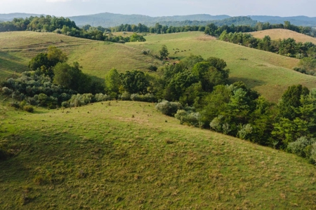 Large Land Tract for Sale with River Frontage in Riner VA! - image 4