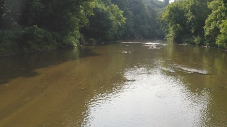 Large Land Tract for Sale with River Frontage in Riner VA! - image 12
