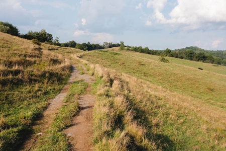 Large Land Tract for Sale with River Frontage in Riner VA! - image 6