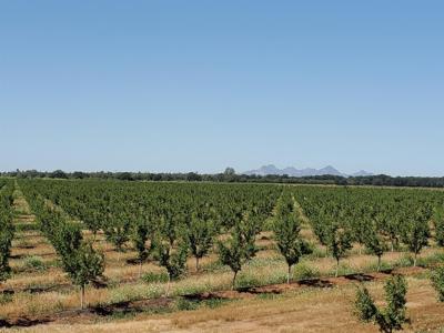 Northern California Orchards & Farms For Sale - image 1