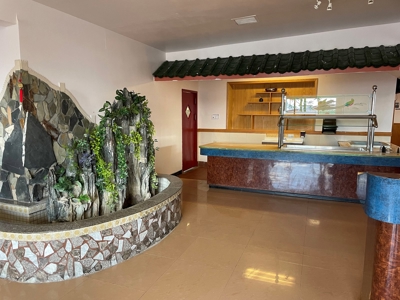 Montrose CO restaurant for sale commercial property for sale - image 4