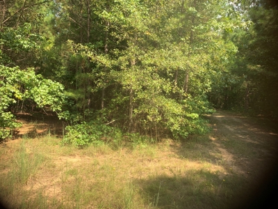 Large Timberland w/ Country Home Potential by Doddridge, AR - image 3
