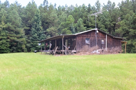 2,053  Acres Hunting Land for Sale Jasper County, MS - image 3
