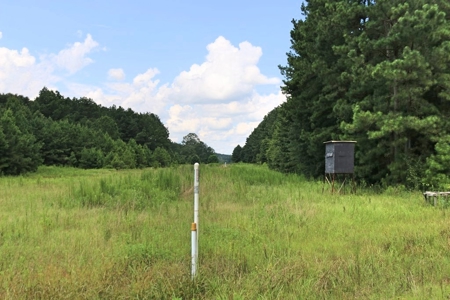 2,053  Acres Hunting Land for Sale Jasper County, MS - image 19