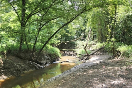 2,053  Acres Hunting Land for Sale Jasper County, MS - image 21