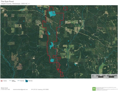 2,053  Acres Hunting Land for Sale Jasper County, MS - image 26