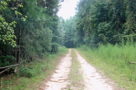 2,053  Acres Hunting Land for Sale Jasper County, MS - image 2