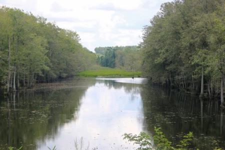 2,053  Acres Hunting Land for Sale Jasper County, MS - image 10