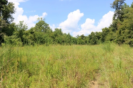 2,053  Acres Hunting Land for Sale Jasper County, MS - image 22