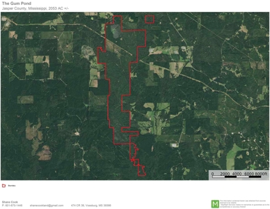 2,053  Acres Hunting Land for Sale Jasper County, MS - image 25