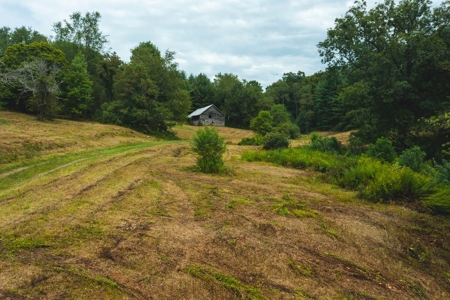 Stunning Farmhouse for Sale in Floyd VA! - image 30