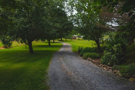 Stunning Farmhouse for Sale in Floyd VA! - image 26