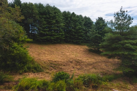 Stunning Farmhouse for Sale in Floyd VA! - image 31