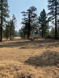 Off the Grid Cabin For Sale in Modoc County! - image 21