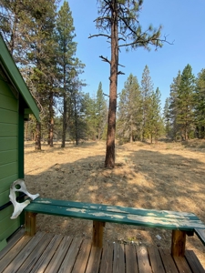 Off the Grid Cabin For Sale in Modoc County! - image 20