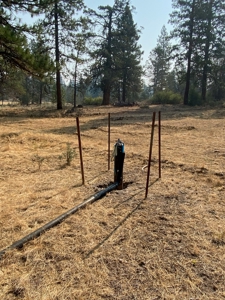 Off the Grid Cabin For Sale in Modoc County! - image 10