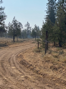 Off the Grid Cabin For Sale in Modoc County! - image 3