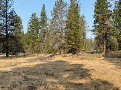 Off the Grid Cabin For Sale in Modoc County! - image 8