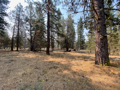 Off the Grid Cabin For Sale in Modoc County! - image 2