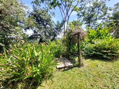 Titled Off-grid Coastal Home, Tierra Oscura, Bocas del Toro - image 29