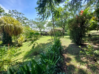 Titled Off-grid Coastal Home, Tierra Oscura, Bocas del Toro - image 37
