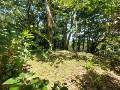 Titled Off-grid Coastal Home, Tierra Oscura, Bocas del Toro - image 36
