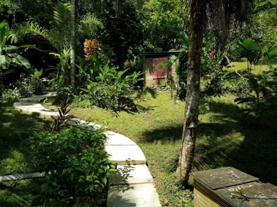 Titled Off-grid Coastal Home, Tierra Oscura, Bocas del Toro - image 1