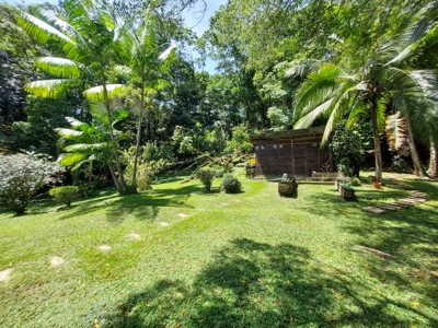 Titled Off-grid Coastal Home, Tierra Oscura, Bocas del Toro - image 31