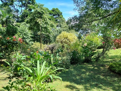 Titled Off-grid Coastal Home, Tierra Oscura, Bocas del Toro - image 28