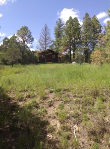Mountain Home For Sale In Timberon, Nm - image 2