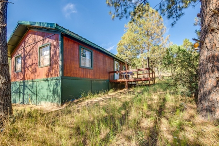 Mountain Home For Sale In Timberon, Nm - image 12