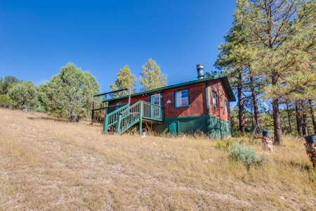 Mountain Home For Sale In Timberon, Nm - image 16