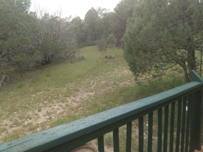 Mountain Home For Sale In Timberon, Nm - image 1