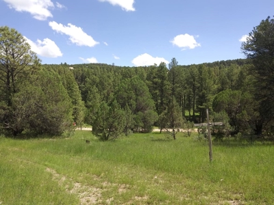 Mountain Home For Sale In Timberon, Nm - image 3