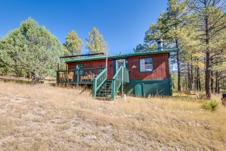 Mountain Home For Sale In Timberon, Nm - image 17
