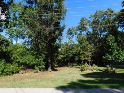 Charming Cottage For Sale In Lake Palestine Community - image 30