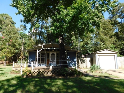 Charming Cottage For Sale In Lake Palestine Community - image 34